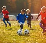 赵继伟伤停,辽宁客场遭,青岛逆转,新葡京,新葡京app,新葡京娱乐,新普京赌场