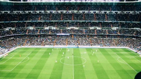 [图]郑钦文刷新佳绩，迈阿密站晋级WTA1000赛16强