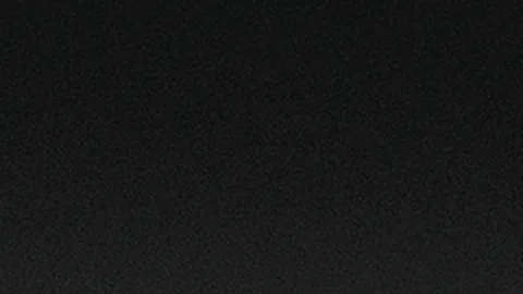 张雨霏：奥运金牌得主兼南体游泳学院副院长返校，传达全国两会精神