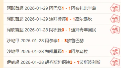 2025年歐洲U20錦標賽超級陣容：貝林厄姆帶領，佩德裏加維亦在列