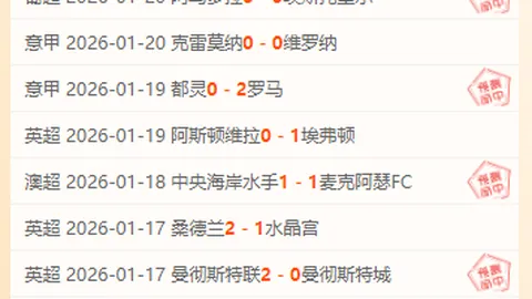 日本队：足球之夜的璀璨风景